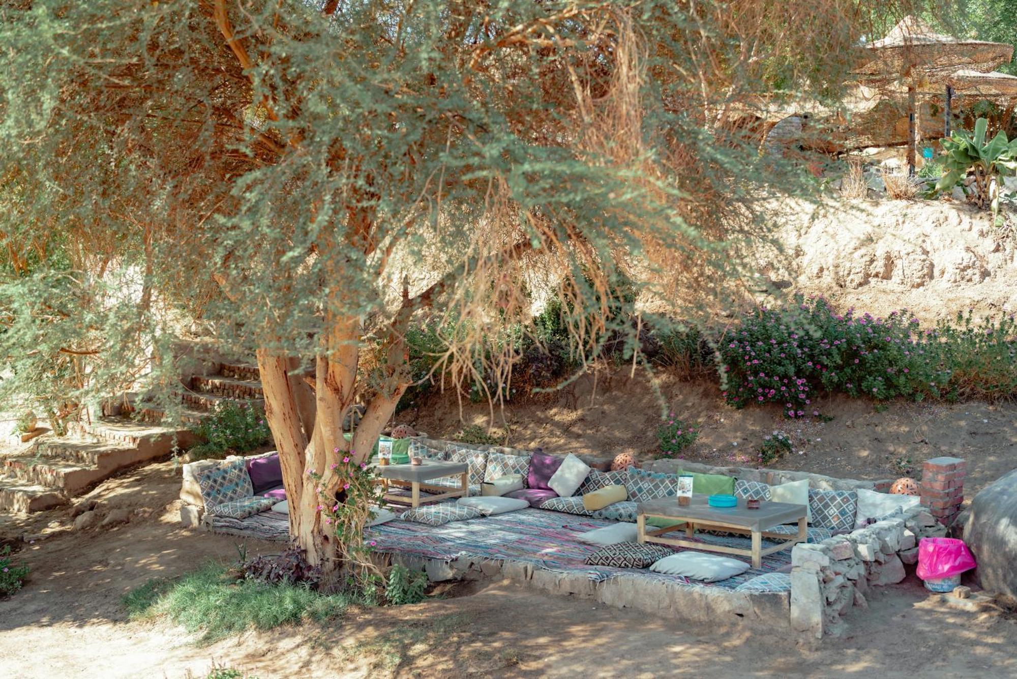 Krouma Camp & Ecolodge أسوان المظهر الخارجي الصورة